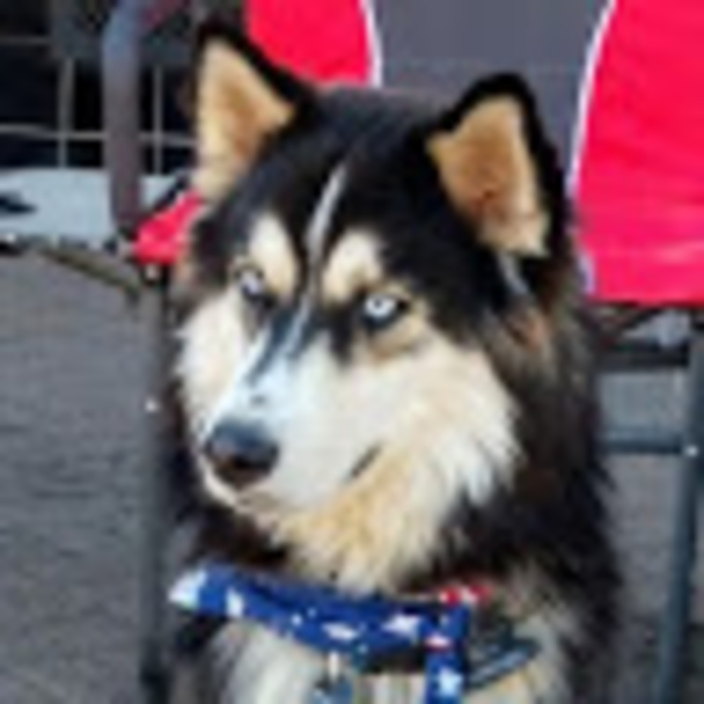 Meet your Posher, Judith